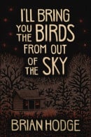 I'll Bring You the Birds from Out of the Sky (PAPERBACK), by Brian Hodge