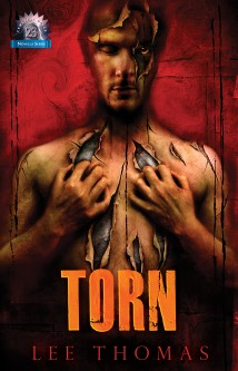 Torn (eBook)