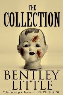 The Collection (eBook)