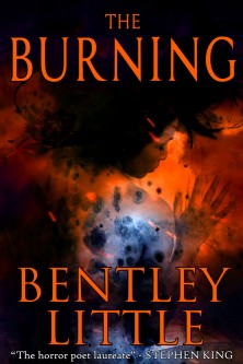 The Burning (eBook)